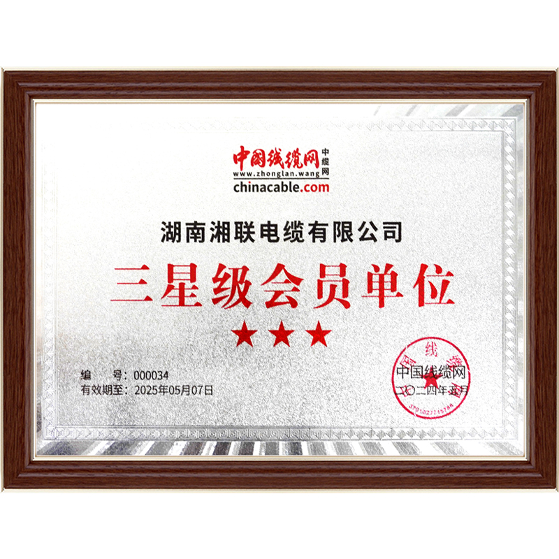 99久久伊人精品综合观看