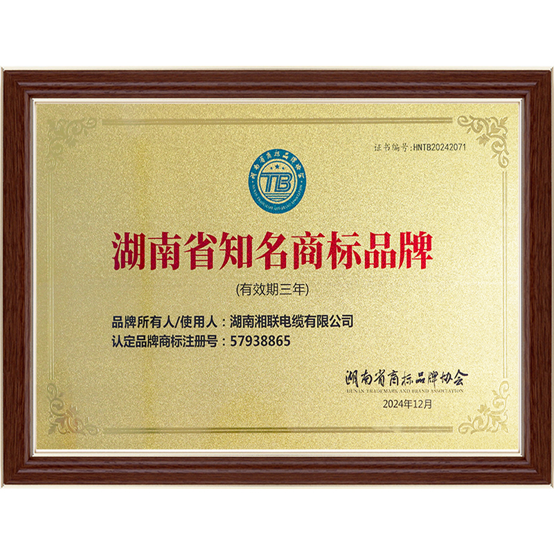 99久久伊人精品综合观看