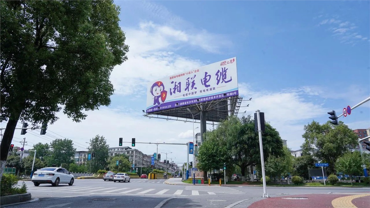 99久久伊人精品综合观看