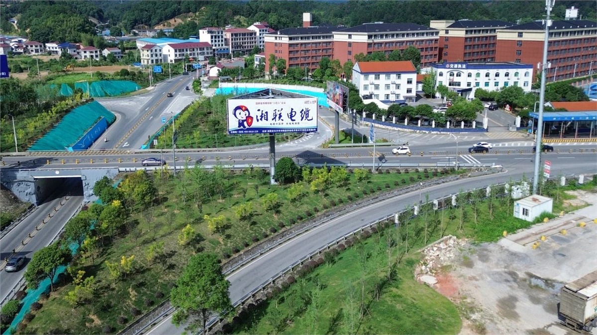 99久久伊人精品综合观看