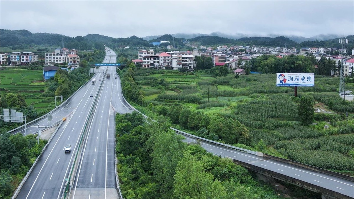 99久久伊人精品综合观看