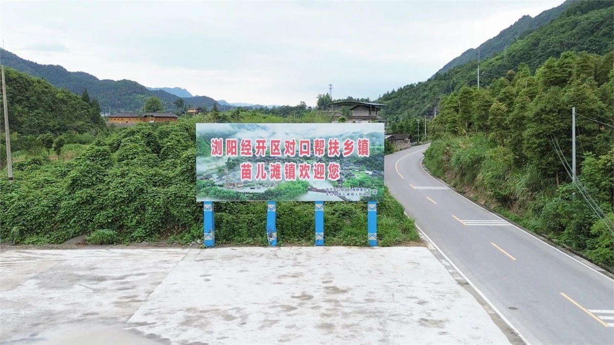 99久久伊人精品综合观看