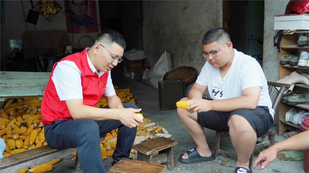 99久久伊人精品综合观看