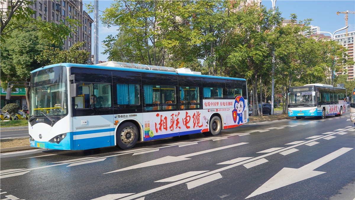 99久久伊人精品综合观看