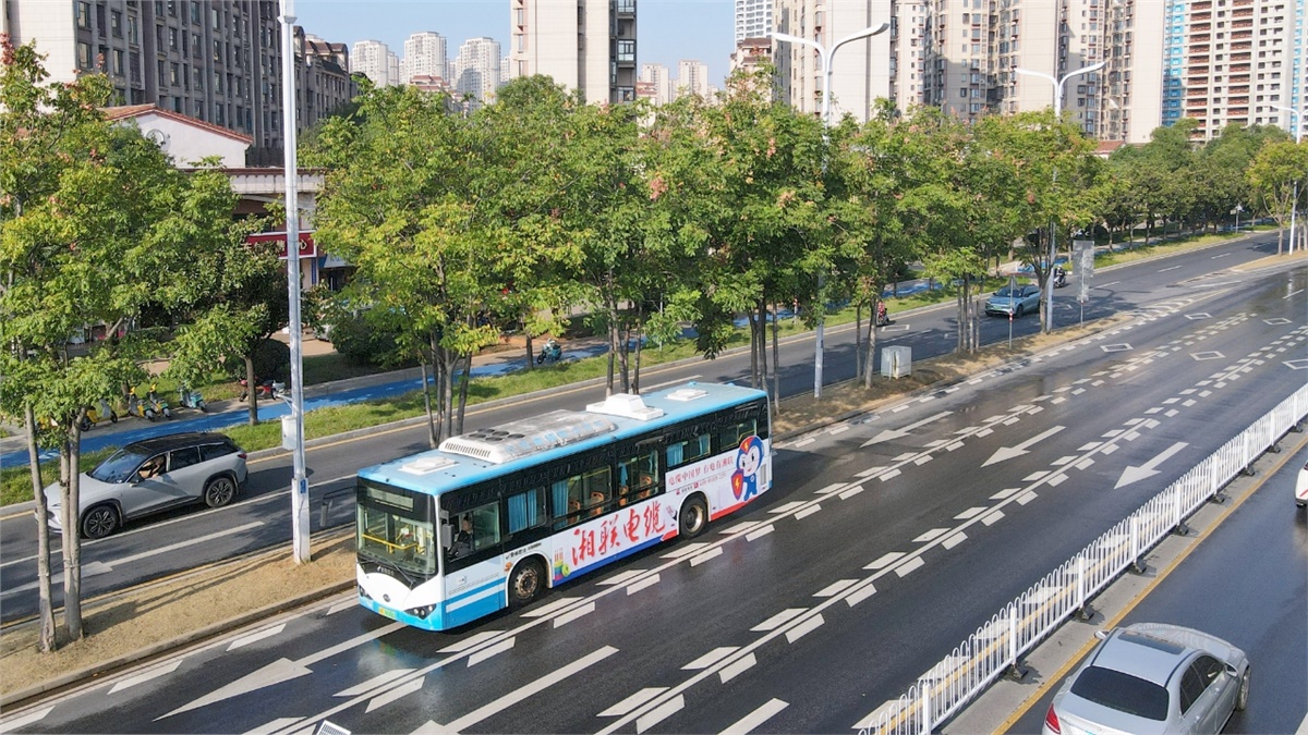 99久久伊人精品综合观看