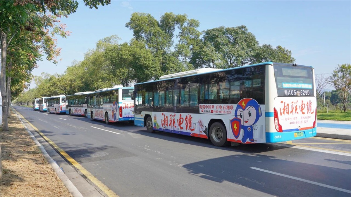 99久久伊人精品综合观看