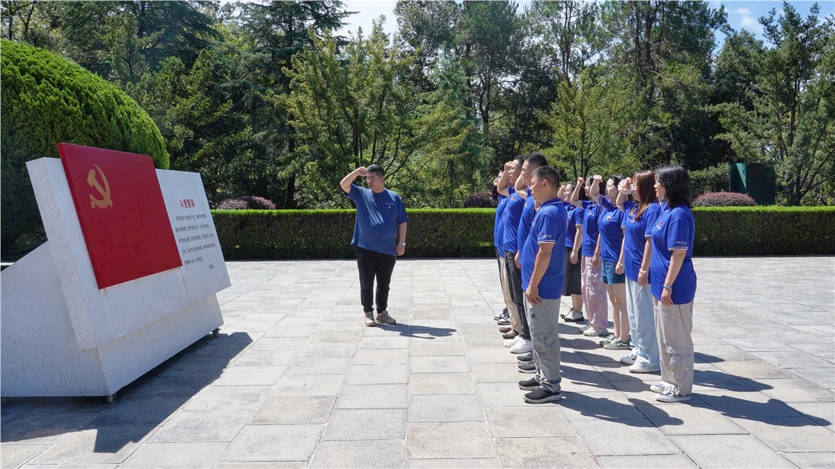 99久久伊人精品综合观看