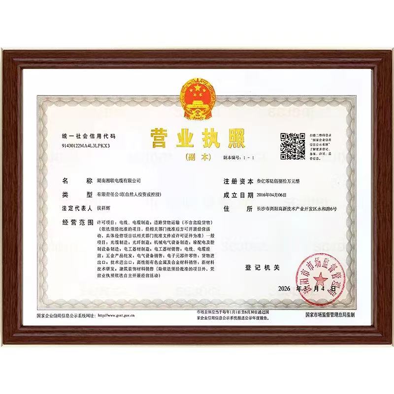 99久久伊人精品综合观看